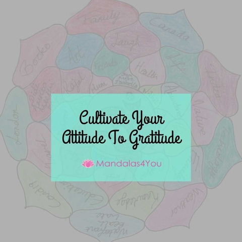 Cultivate Your Attitude to Gratitude IN