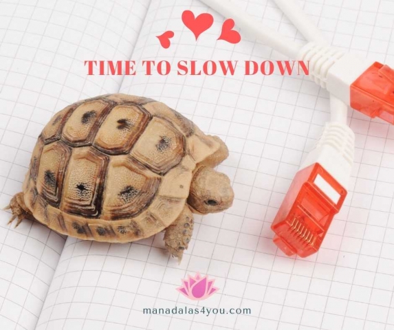 Slow Down blog